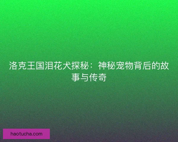 洛克王国泪花犬探秘：神秘宠物背后的故事与传奇